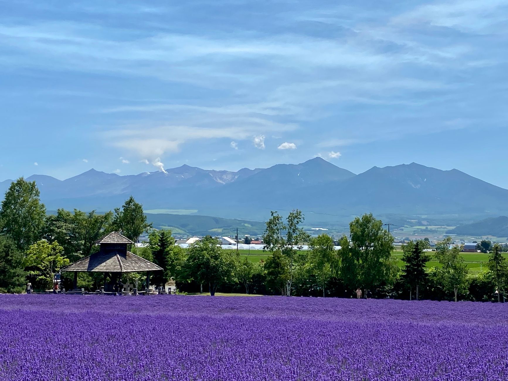 9月の北海道の旅を楽しむ:初秋の風景と味覚を満喫する完全ガイド
